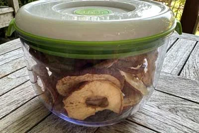 Apple Chips